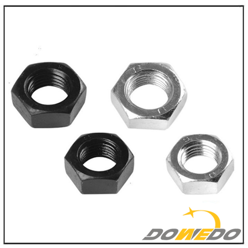 Hex Nuts