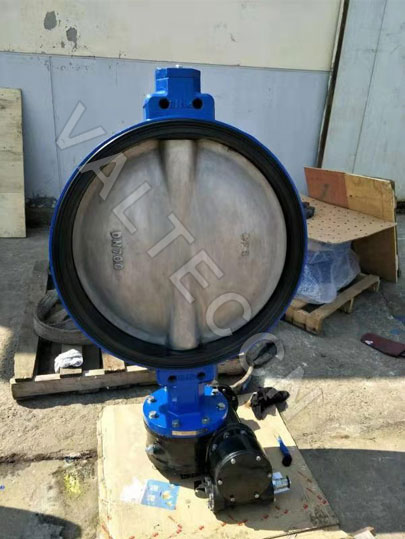 VALTECCN factory: Semi lug butterfly valve photo