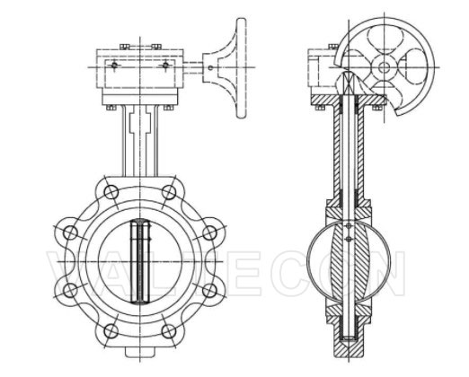 Lug concentric butterfly valve