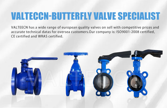 China Butterfly valve brand: VALTECCN