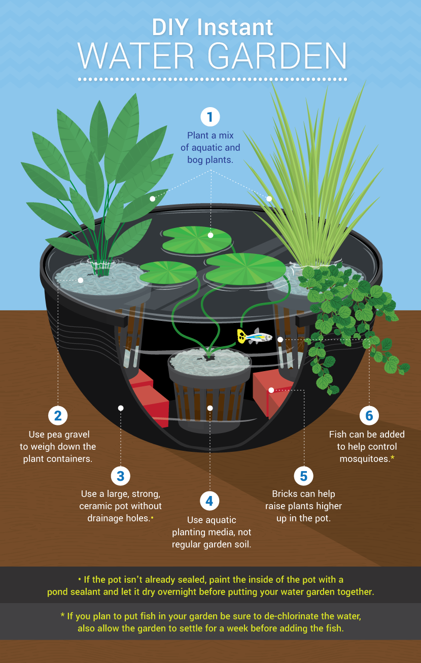 DIY Instant Water Garden - Water Features For Small Gardens